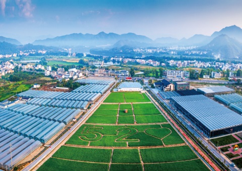 江西赣州充分验展妄想手艺实力服务墟落振兴——把墟落妄想事情做到田间地头